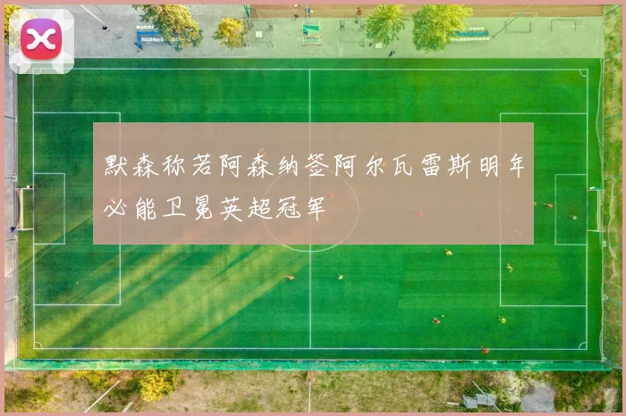 默森称若阿森纳签阿尔瓦雷斯明年必能卫冕英超冠军